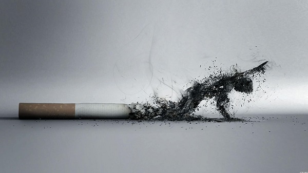 Бросить курить не так тяжело, если знаешь, что входит в состав сигареты